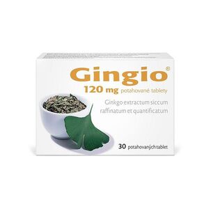 GINGIO 120 mg 30 potahovaných tablet obraz
