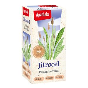 APOTHEKE Jitrocel čaj 20x1.5g obraz