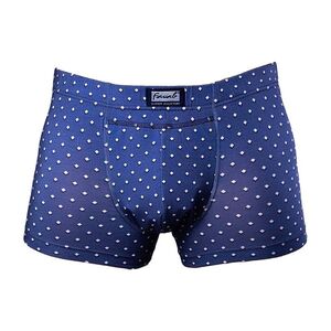 FAVAB Inkontinenční pánské boxerky DAKY Bos2, Velikost: XL obraz