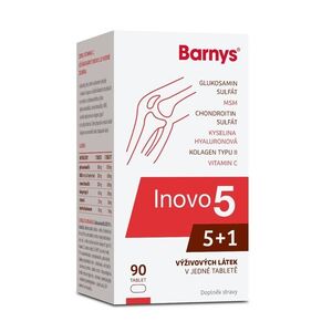 Barny´s Inovo 5 90 tablet obraz