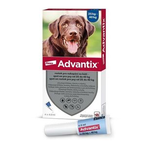 ADVANTIX obraz