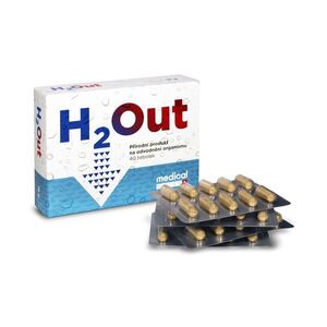 H2Out 40 tobolek obraz