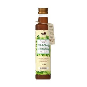 Naturprodukt Sirup meduňkový 250 ml obraz