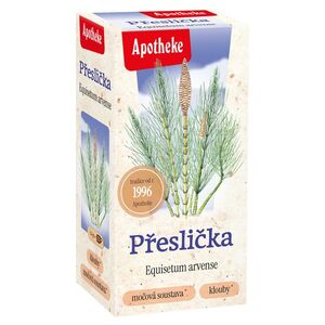 Apotheke Přeslička nálevové sáčky 20x1, 5 g obraz