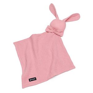 T-tomi BIO Mušelínový usínáček 1 ks Pink obraz