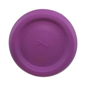 Dog Fantasy Hračka EVA Frisbee fialový 22 cm obraz