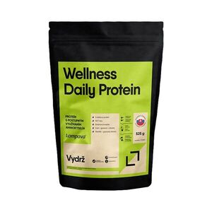 KOMPAVA Wellness Daily Protein 525 g/15 dávek, vanilka obraz
