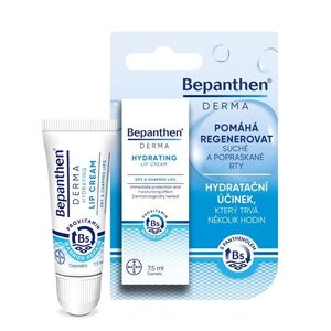Bepanthen Derma krém na rty 7, 5 ml obraz