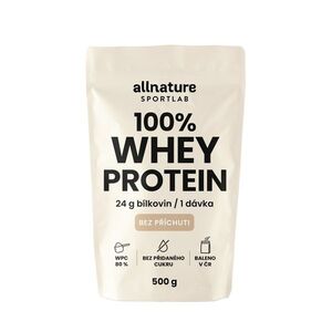 Allnature Sportlab 100% WHEY protein bez příchuti 500 g obraz