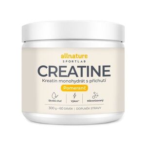 Allnature Sportlab Creatine monohydrát pomeranč 300 g obraz