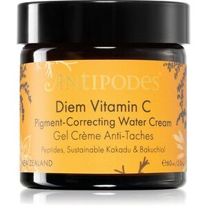 Antipodes Diem Vitamin C Pigment-Correcting Water Cream rozjasňující hydratační krém proti pigmentovým skvrnám s bakuchiolem 60 ml obraz