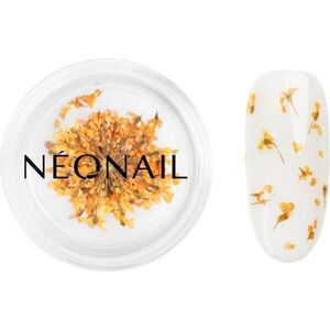 NEONAIL Dried Flowers sušený květ na nehty odstín Orange 1 ks obraz