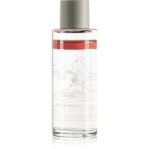 Mühle After Shave Lotion Grapefruit & Mint voda po holení pro muže 125 ml obraz