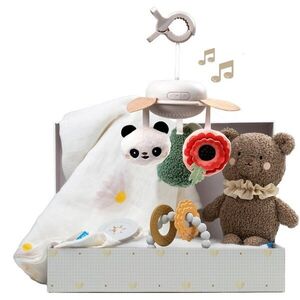 Taf Toys Luxury Newborn Kit dárková sada pro miminka obraz