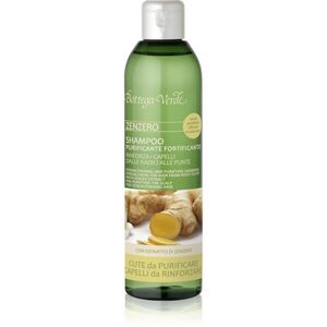 Bottega Verde Zenzero čisticí šampon pro posílení vlasů 250 ml obraz