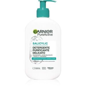 Garnier Pure Active Salicylic hydratační čisticí gel proti nedokonalostem pleti 250 ml obraz