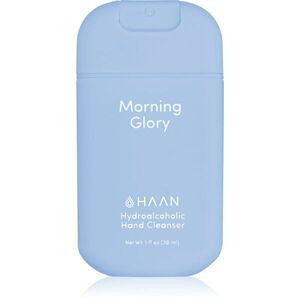 HAAN Morning Glory čisticí sprej na ruce s antibakteriální přísadou 30 ml obraz