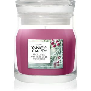 Yankee Candle Sparkling Winterberry vonná svíčka Signature 110 g obraz