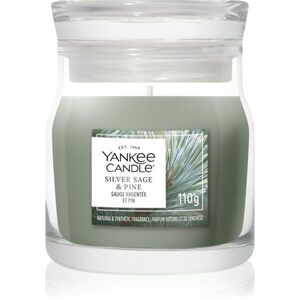 Yankee Candle Silver Sage & Pine vonná svíčka Signature 110 g obraz