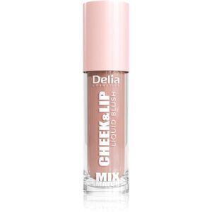 Delia Cosmetics Mix&Match Cheek & Lip Liquid Blush tekutá tvářenka na rty a tváře odstín 01 4 ml obraz