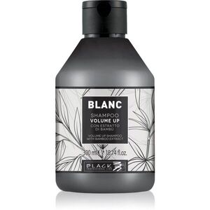 Black Professional Line Line Volume Up Shampoo objemový šampon pro jemné vlasy 300 ml obraz