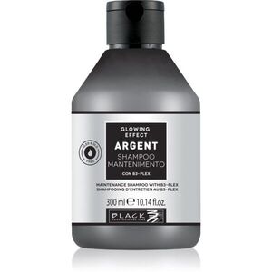 Black Professional Line Line Argent Shampoo posilující šampon pro poškozené vlasy pro matné vlasy 300 ml obraz