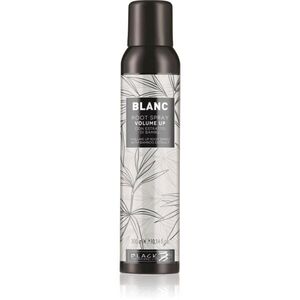 Black Professional Line Line Volume Up Root Spray objemový sprej pro jemné vlasy 300 ml obraz