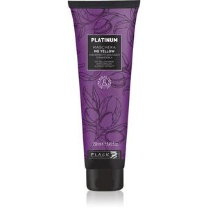 Black Professional Line Platinum No Yellow maska na vlasy neutralizující žluté tóny 250 ml obraz