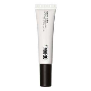 MAKEUP BY MARIO - Perfecting Lip Scrub – Exfoliační peeling na rty obraz
