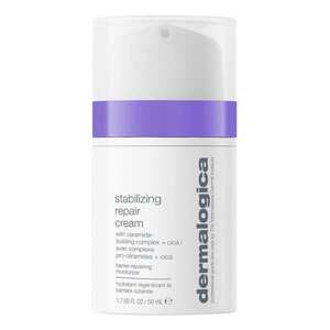DERMALOGICA - Stabilizing Repair Cream - Hydratační krém obraz