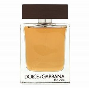 Dolce & Gabbana The One for Men toaletní voda pro muže 100 ml obraz