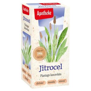 Apotheke Jitrocel nálevové sáčky 20x1, 5 g obraz