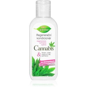 Bione Cosmetics Cannabis regenerační kondicionér 80 ml obraz