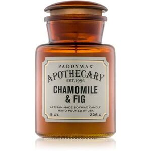 Paddywax Apothecary Chamomile & Fig vonná svíčka 226 g obraz