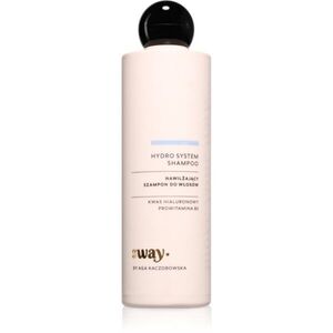 beBIO SWAY Hydro System hydratační šampon 300 ml obraz