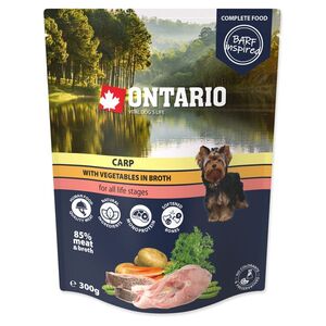 ONTARIO Kapsička kapr se zeleninou ve vývaru 300 g obraz