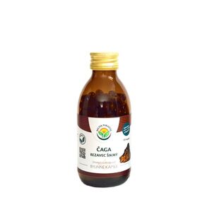 SALVIA PARADISE Čaga rezavec šikmý 120 kapslí obraz