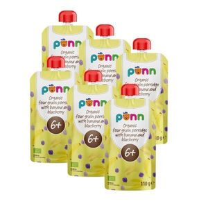 SALVEST Põnn BIO Banán s borůvkou a obilnými vločkami 6x110 g obraz