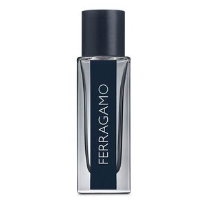 Salvatore Ferragamo Pour Homme Ferragamo toaletní voda pro muže 30 ml obraz