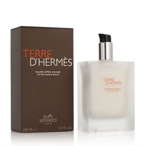 Hermès Terre D' ASB 100 ml M (Nový obal) obraz