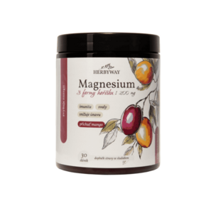 Herbyway Magnesium 3 formy hořčíku 1 200 mg 170 g mango obraz