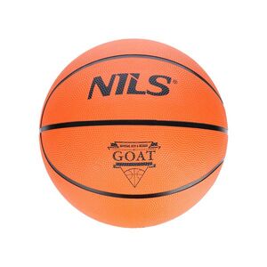 Nils Basketbalový míč NPK252 Goat 5 obraz