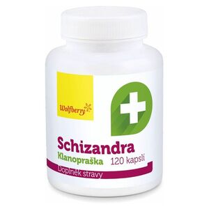 WOLFBERRY Schizandra extrakt 120 kapslí obraz
