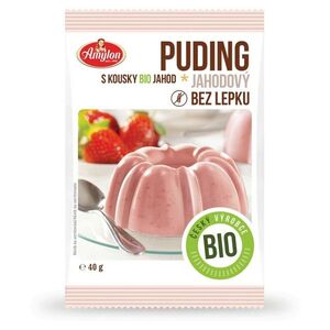 AMYLON Puding jahodový 40 g BIO obraz
