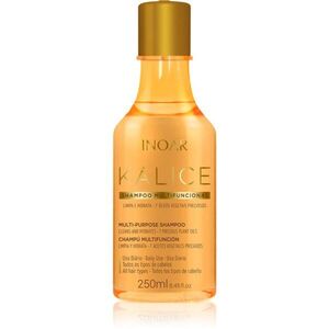 INOAR Kálice intenzivně vyživující šampon 250 ml obraz