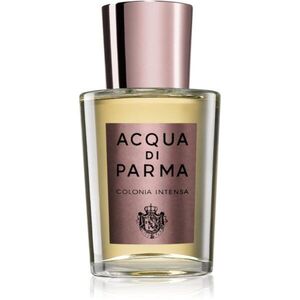 Acqua di Parma Colonia Intensa kolínská voda unisex 50 ml obraz