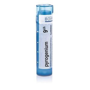 Boiron PYROGENIUM CH9 granule 4 g obraz
