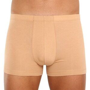 Covert Pánské neviditelné boxerky béžové (153096-410) M obraz