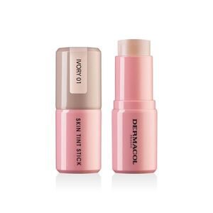 Dermacol Skin Tint Stick Make-up v tyčince 01 Ivory 15 g obraz