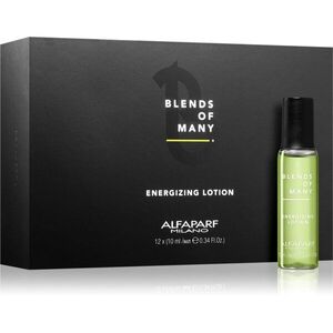 Alfaparf Milano Blends of Many Energizing energizující sérum pro suché a poškozené vlasy 12x10 ml obraz